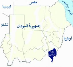 فرانس برس: فصيل متحالف مع “الدعم السريع” يسيطر على مواقع للجيش