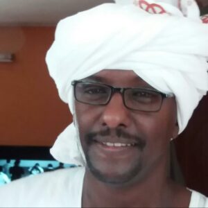 عز العرب حمد النيل