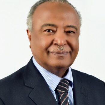 Professor/Make Madani Al-Shabli