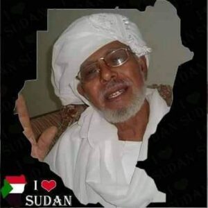 حسن إبراهيم حسن الأفندي