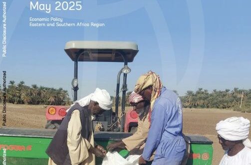 قطاع الخدمات هو الأسرع نموًا في السودان، وفق تحليل جديد