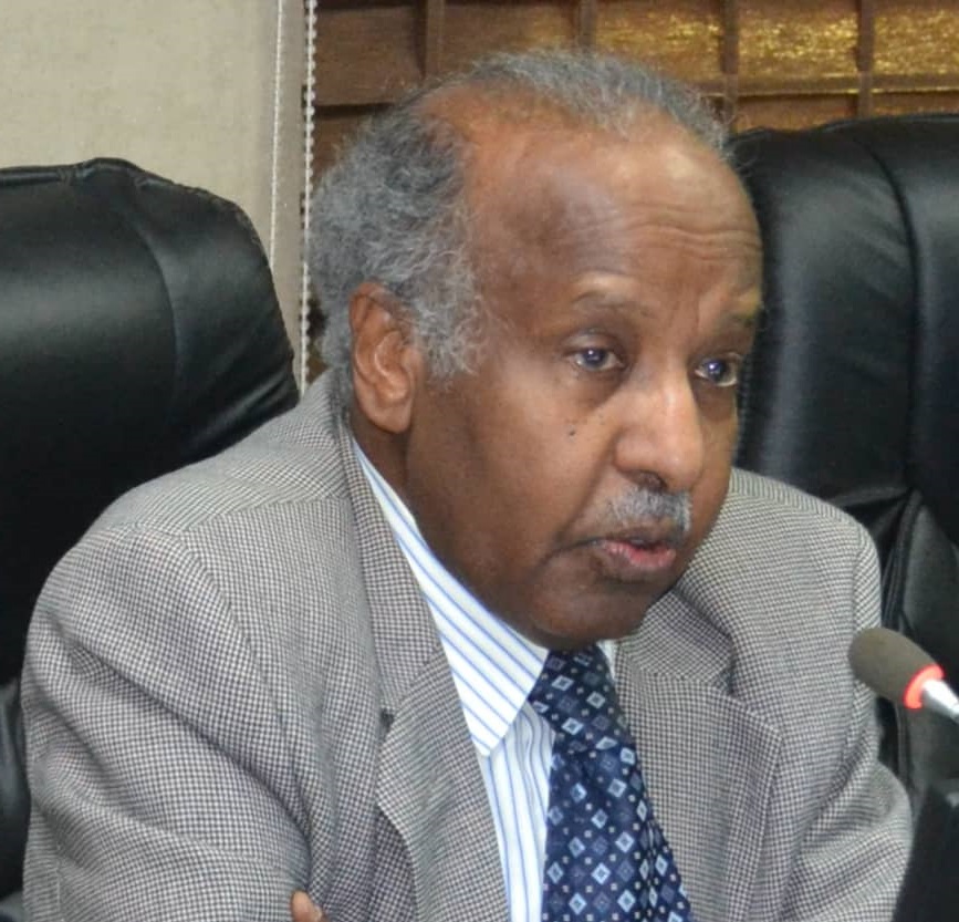 السودان – خفَايا وخبَايا مفاوضات واتفاقيات تقريرِ المصير لجنوبِ السودان (3 – 29):