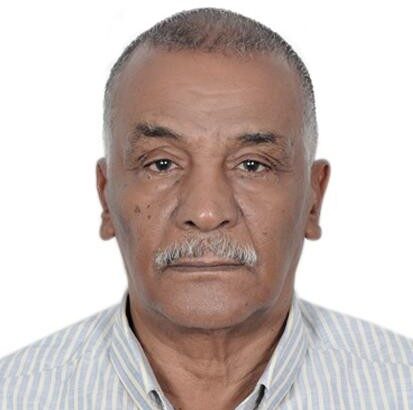 سيد الحسن