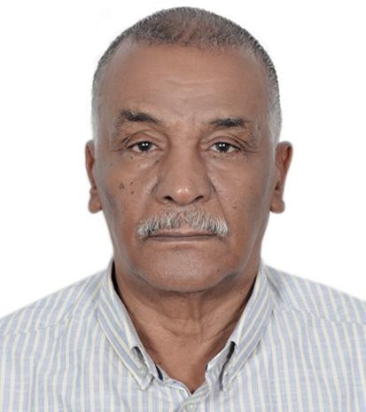 سيد الحسن